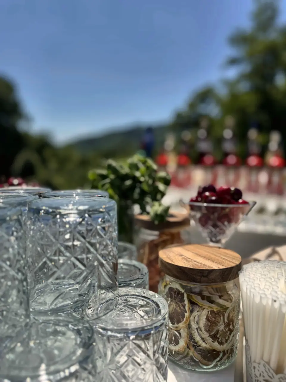Just Drink wedding bar at Borgo Giusto, Borgo a Mozzano (LU), Tuscany (11)