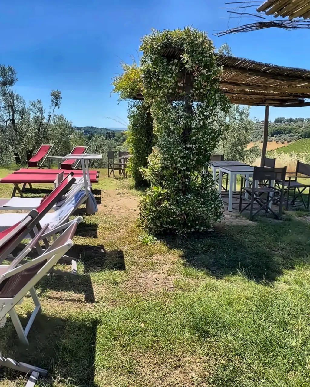 Just Drink wedding bar at Villa di Rignana, Greve in Chianti (FI), Tuscany (9)